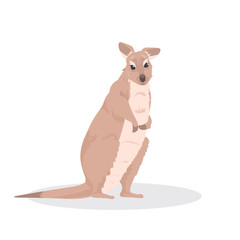 kangaroo or wallaby icon cartoon endangered wild australian animal symbol wildlife species fauna concept flat vector illustration
