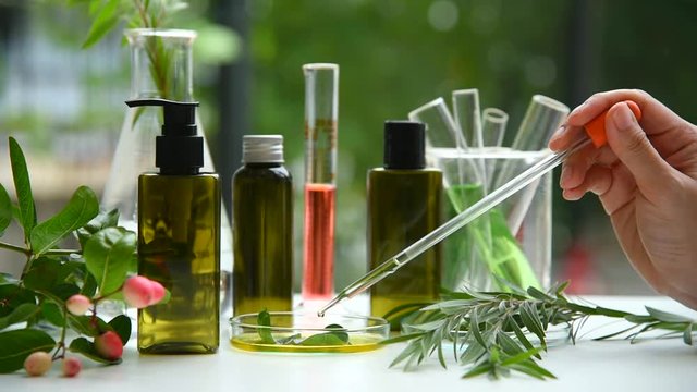 Scientist dropping organic natural essence in petri dish, Alternative green herbal extract medicine, Skincare beauty product research and development concept.