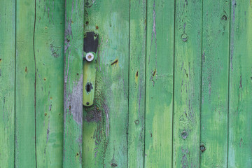 Old Wooden Door with Peeling Paint