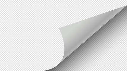 Fototapeta Curled page. Paper page turning corner vector illustration. Transparent white paper sticker. Corner paper page, sheet sticker curl, rolled fold obraz