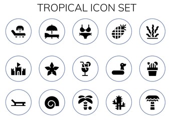 tropical icon set