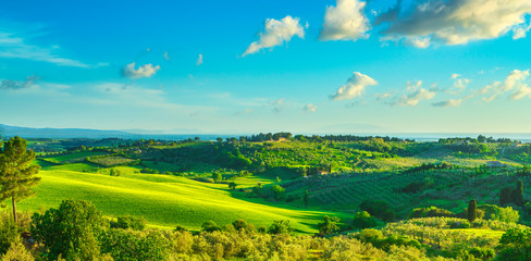 Obraz premium Maremma countryside, Bibbona and Casale Marittimo sunset landscape. Tuscany, Italy.