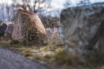 Winter Rock on Grass