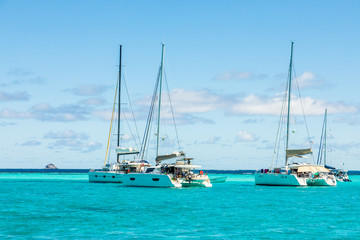 Fototapeta premium Turquoise colored sea with ancored catamarans, Tobago Cays, Saint Vincent and the Grenadines, Caribbean sea