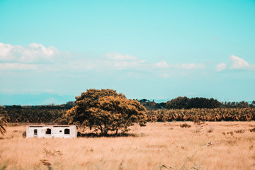 Rio de Janeiro Landscape