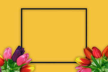 Yellow spring concept with tulips and black frame