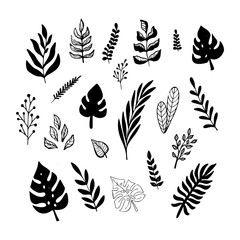 Fototapeta na wymiar Set of black trendy doodle exotic leaves isolated on a white background. Vector botanical illustration, sketch elements for design.