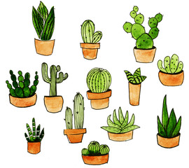 set of succulents cacti painted in watercolor