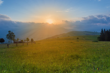 Fototapeta premium Sunrise on a highland glade in the Carpathian Mountains