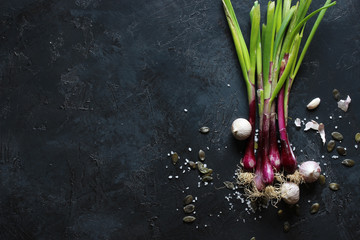 Obraz na płótnie Canvas purple spring onions on dark table background