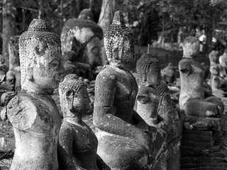 タイ、チェンマイ のワット・ウーモン。トンネルの中で僧侶の厳しい修行寺として有名です。　　　　境　　　　　　　　　　　　　　　　　　　　　　　　　　内　　には他の廃寺の石仏群が野ざらしの状態にあります。裏山にはヒマラヤ桜、野生の鹿そしてうさぐが観光客を楽しませています。　　　　　　　　　　　　　　　　　　　　　　　に　　　　　　　　　　　　　　は　　　に　　　はたの廃寺の石仏群が野ざらしににはには