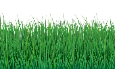Fototapeta premium Green grass background. Beautiful meadow