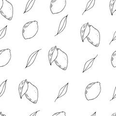 Seamless with lemons. Pattern with outline limes. Hand drawn citrus background. Sketch fruits seamless.