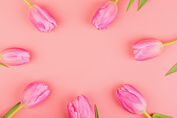 View from above pink tulips with copy space. Background for womens day, 8 March Valentines day, 14 february. Flat lay style, top view, mockup, template, overhead. Greeting card