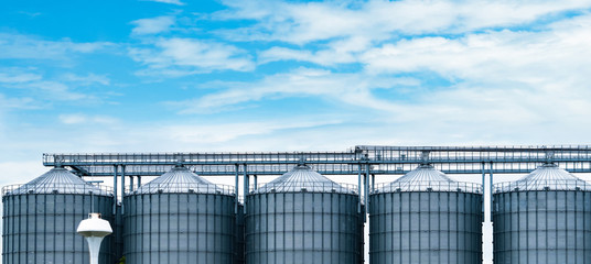 Agricultural silo at feed mill factory. Big tank for store grain in feed manufacturing. Seed stock tower for animal feed production. Commercial feed for livestock, swine and fish industries. © Artinun
