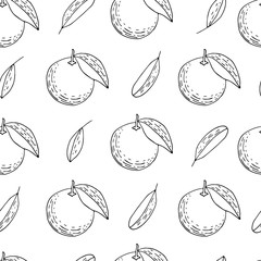 Hand drawn mandarins, oranges seamless. Pattern with outline citruses. Fresh fruits background. Wallpaper with sketch fruits.