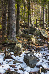 Hiking trail along the Carpathian village of Yaremche in winter. Ukraine