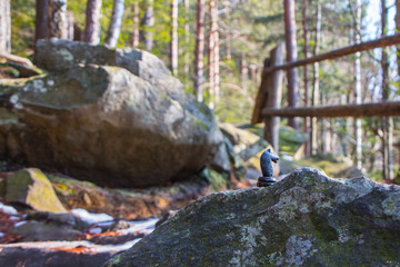 Black chess horse on a hiking trail near Yaremche village in winter. Ukraine