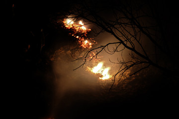 FEUER . FIRE