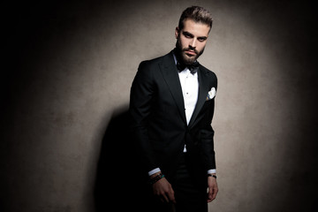 Fototapeta premium sexy young fashion model in tuxedo posing in a fashion light