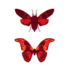 butterfly cicadas sketch, yellow orange mustard contour isolated on white background. simple art. Vector