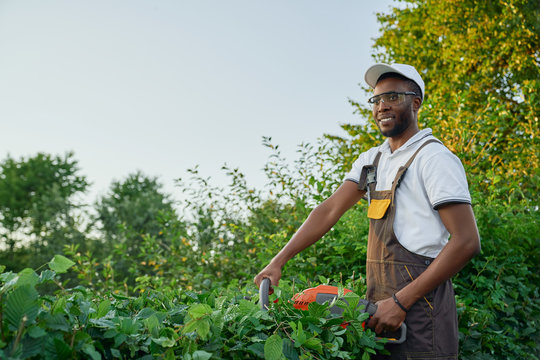 Smiling African Man In Overall Cutting Outgrown Bushes