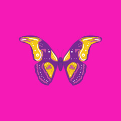 Butterfly sketch, purple lilac white orange contour on pink background. simple art. Can be used for Card banner template, copy space. Vector