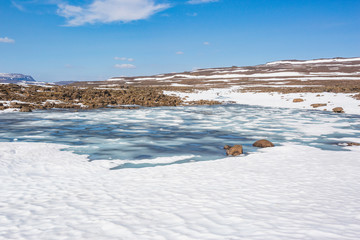 Lake on Putorana Plateau, Taimyr. Russia