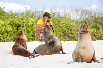 Young tourist taking a photo of sea lions lounging on the beach in the Galapagos Islands, Ecuador