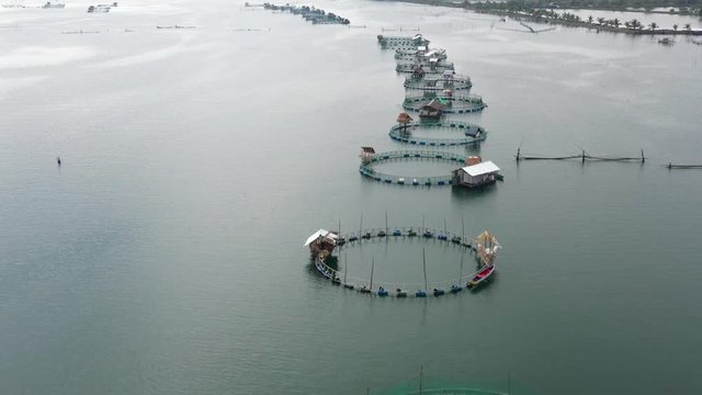 Fisheries on Luzon Island, Philippines. Fish farm, top view. Aerial view of fish ponds for bangus, milkfish.