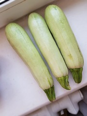 Three fresh vegetable marrow lies on windowsill. Top view