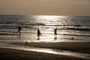 Fototapeta na wymiar sunset on the seashore