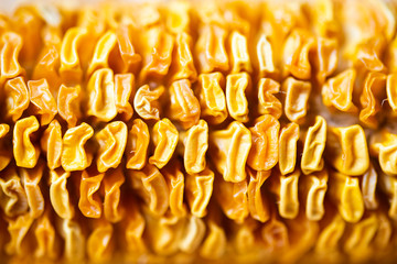 Close-up photo of shrivel dry corn cob