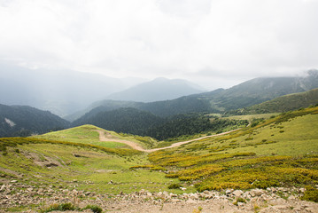 Fototapeta na wymiar Mountains with Alpine Meadows and Green Forest in Sochi. Krasnaya Polyana.