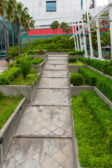 緩やかな階段に沿って植えられた植物