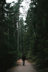 Man in a black outfit walking a forest trail