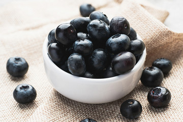 Fresh heap of blueberry in white clean bowl on sack cloth.