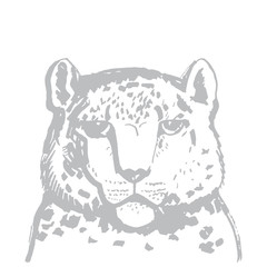 Obraz premium snow leopard ounce, large cat native to the mountain ranges of Asia ranging from eastern Afghanistan to Mongolia and western China. Gray sketch markers, freehand drawing isolated on white. Vector