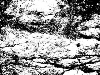 Fototapeta premium stone, rock texture vector design