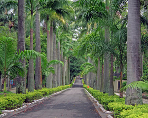 Jardim_São_Cristovão - Rio de Janeiro