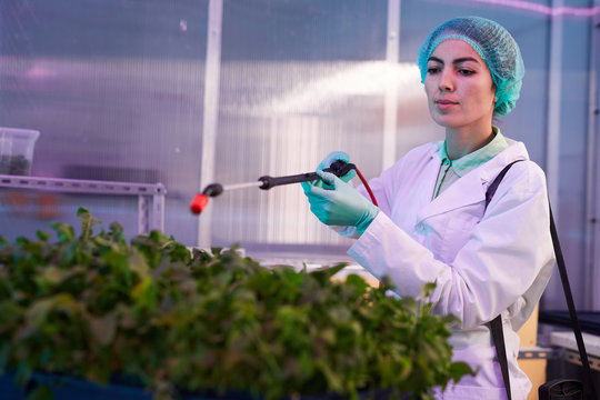 Portrait of female worker spraying fertilizer over green plants in bio laboratory or nursery greenhouse, copy space - Powered by Adobe