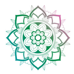 Mandala patterns on white background