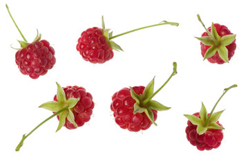 Raspberry red berry set isolated on white background