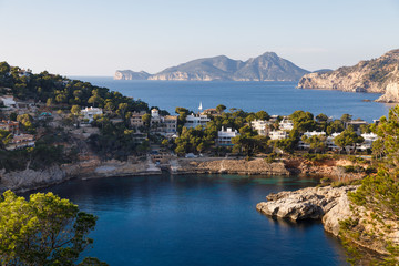 Naklejka premium Villas on the hills of the port of Andratx, above view through the trees