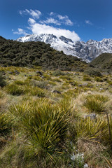 Fototapeta na wymiar Mount Cook Tasman River New Zealand valley mountains snow