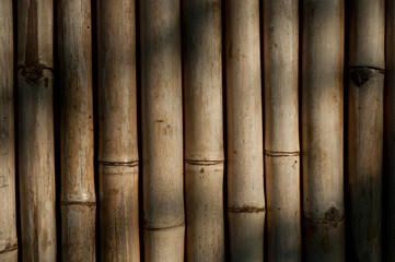 background of bamboo