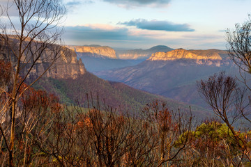 Blue Mountains escarpment and valley after a bush fire