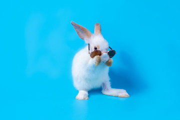 Little white baby rabbit with cute fur and black sunglasses. Standing on two feet because of naughtiness on a blue background.