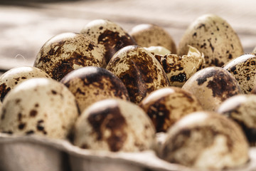 Quail eggs in cardboard box.