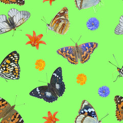 Butterflies and wildflowers. Seamless pattern.